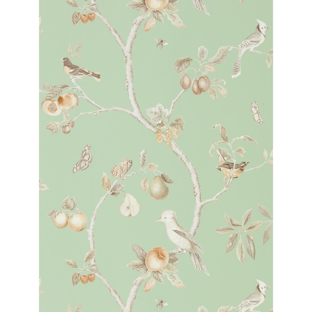 Fruit Aviary Wallpaper 216311 by Sanderson in Sage Neutral